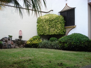 2415b.jpg