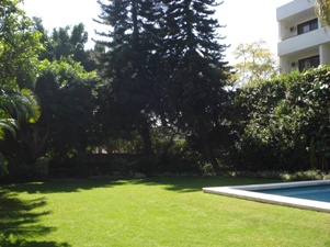 2527a.jpg