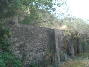 2741d.jpg