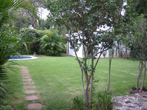 2745e.jpg