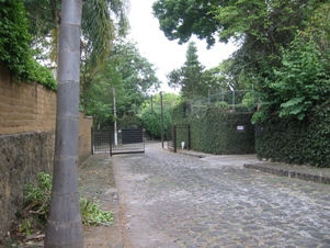 2745j.jpg