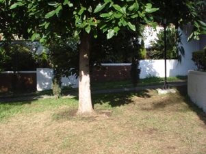 2831d.jpg