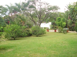 3393a.jpg