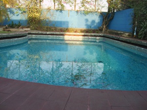 4112d.jpg