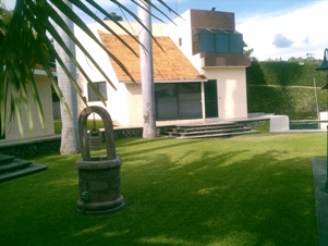 4276e.jpg