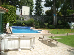 4358d.jpg