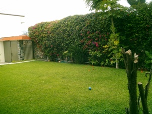 4414e.jpg