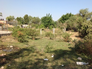4672d.jpg