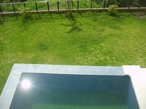 4849d.jpg