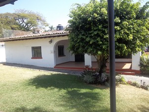 5167h.jpg