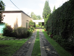 5309b.jpg