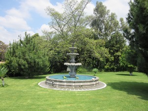 5309f.jpg