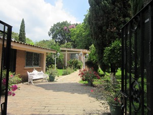 5309l.jpg