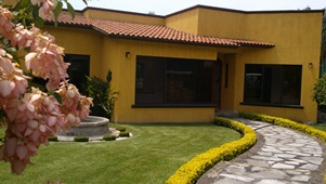 5329b.jpg