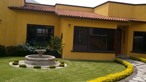 5329d.jpg