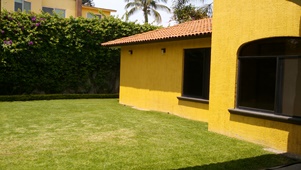 5329e.jpg