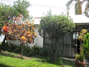 5339b.jpg