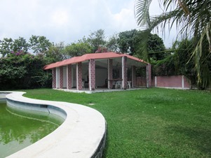 5339d.jpg