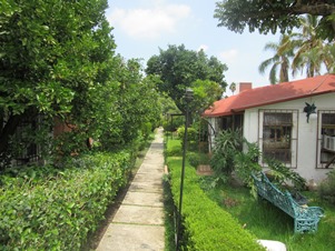 5339e.jpg
