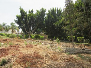 5693a.jpg