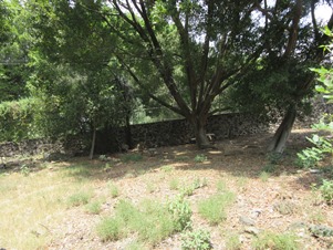 5693d.jpg
