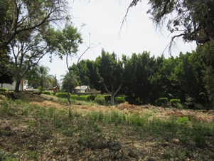 5693f.jpg