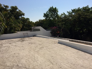 5936w.jpg
