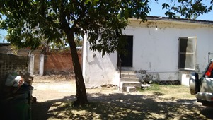 5970b.jpg