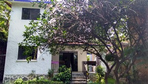 6037b.jpg
