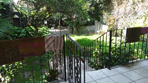 6037d.jpg