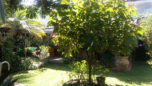 6197j.jpg