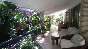 6197n.jpg