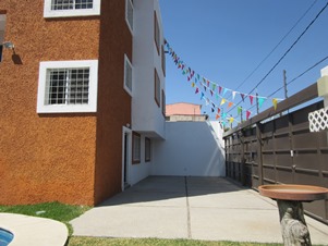 6259d.jpg