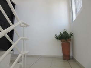 6259h.jpg