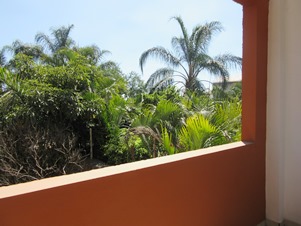 6259i.jpg