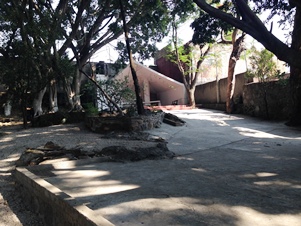 6564e.jpg