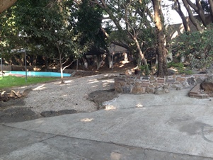 6564n.jpg