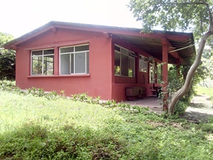 6613a.jpg