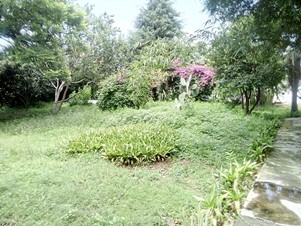6613d.jpg
