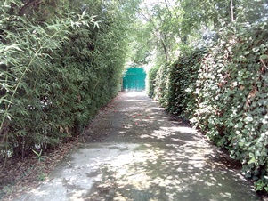 6613l.jpg
