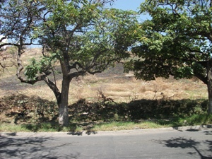 221e.jpg