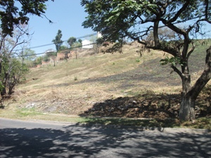 221f.jpg