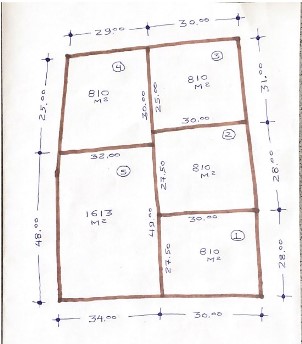 3029b.jpg