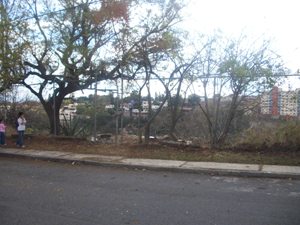 3152e.jpg