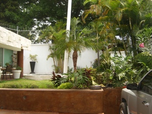 4177b.jpg