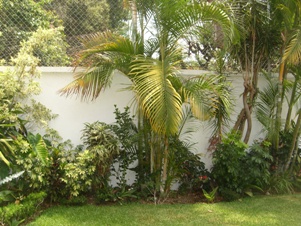 4177e.jpg