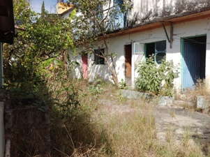 4596a.jpg