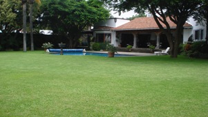 585d.jpg