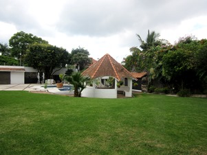 6129f.jpg