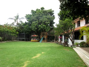 6129i.jpg